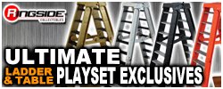 Ultimate Ladder & Table Playsets